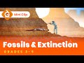 Exploring Fossils and Extinction for Young Learners