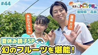 【蓬莱さんのドライブ予報＃４４】夏休み親子SP！滋賀・高島市で幻のフルーツを堪能！