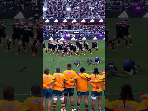 New Zealand lay down the challenge to the Wallabies 👊 #StanSportAU #BledisloeCup