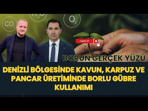 DENİZLİ BÖLGESİNDE KAVUN, KARPUZ VE PANCAR ÜRETİMİNDE BORLU GÜBRE KULLANIMI I BORUN GERÇEK YÜZÜ