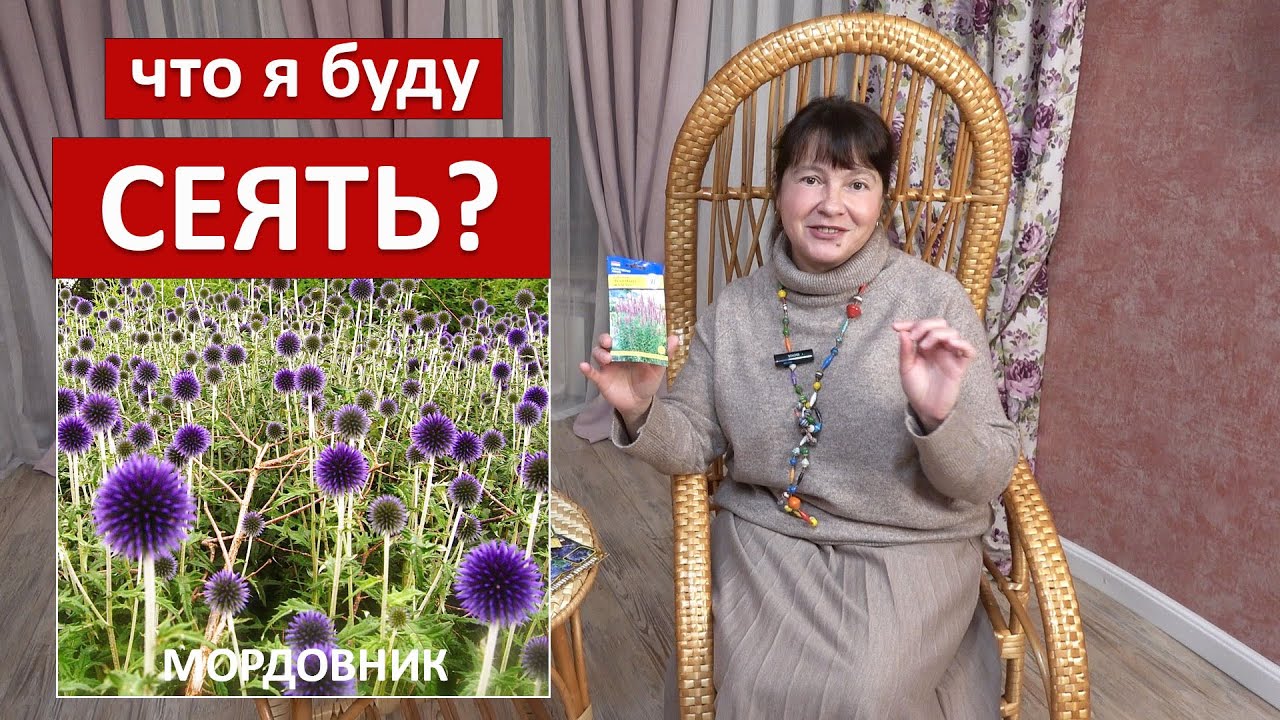 Что я буду сеять в этом году Необычные МНОГОЛЕТНИКИ и ЗЛАКИ!