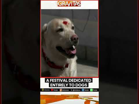 Why Dogs Are Sacred in Nepal’s Kukur Tihar Festival