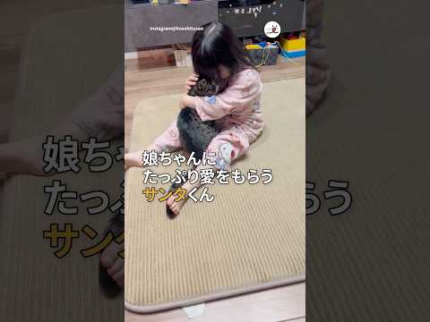 犬の動画サムネイル - 子どもにも律儀なシニア猫さん🥹｜PECO