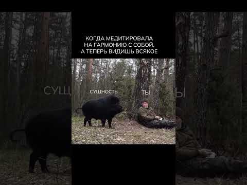 #исцеление #гипнотерапия #исцелениедуши #гипнологонлайн #медитация #вселенная #гипнозотзыв #motivati