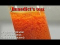 Benedict Test Procedures and Interpretations