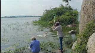 Talented fisherman catches rohu fishes with big hook, beautiful scenery\Single hook fisting