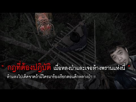 กฏข้อที่ 15 กฎที่ต้องปฎิบัติ เมื่อหลงทางในป่าและมาเจอ " ห้างพราน " แห่งนี้
