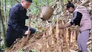 Harvesting Bamboo Shoots, Detecting a Lot of Bamboo Shoots / Building green Life