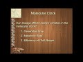 Molecular Clock Concepts and Applications
