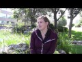 Understanding Megan's Insights on Nature