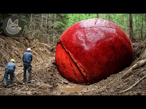 10 Hallazgos Extraños Realizados En Bosques