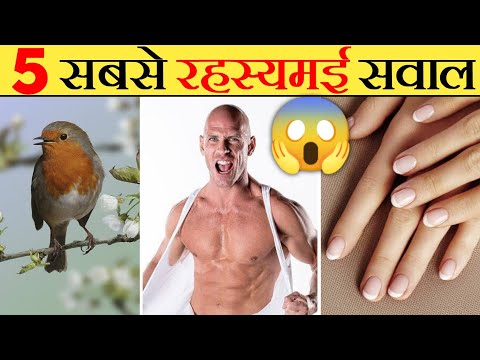 दुनिया के 5 ऐसे रहस्यमई सवाल जो आप नहीं जानते 😱 5 things that You are too lazy to Google | Fact Eve