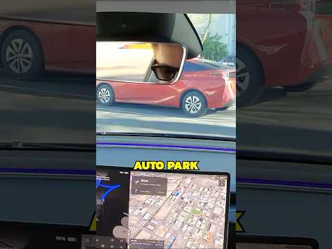 Tesla Auto Park: Does It ACTUALLY Work?
