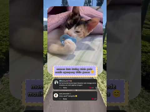 dia sudah gede masih ngempeng bikin gemes 😊