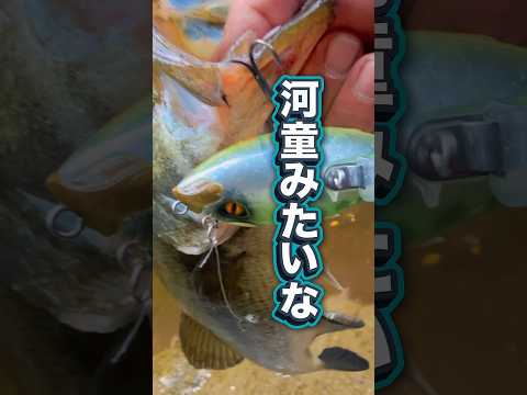 梅雨どこ行った？