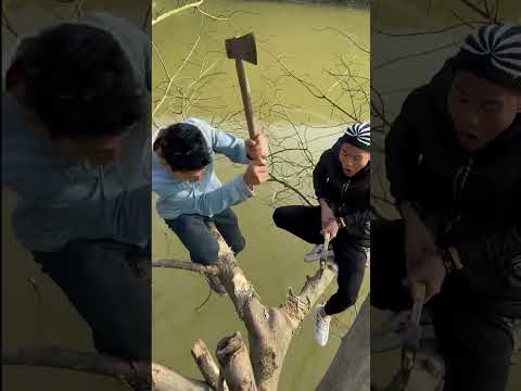 #spurroot #funny #farming #satisfying