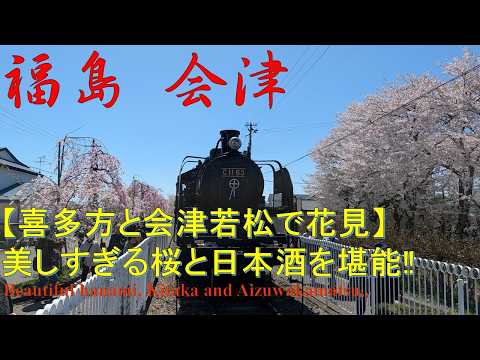 【観光】【美しすぎる桜】喜多方、会津若松で花見 Hanami at Kitakata, Aizuwakamatsu, Fukushima