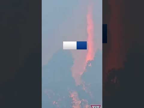 Police in #Australia confirm investigation into a #bushfire that put lives at risk. #skynews