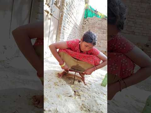 जा जा रे भोले छोरा