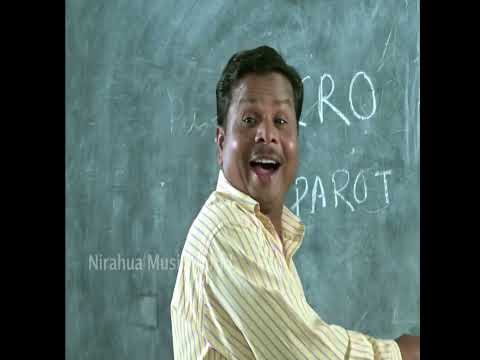 CAT...कैट माने बिलार | मास्टर जी के ईस हरकत पर आम्रपाली पहुची स्कूल | #Nirahua #Amrapali #shortvideo
