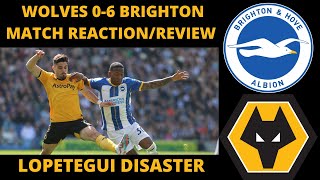 Wolves Embarrassed- Brighton 6-0 Wolves Match Reaction/Review