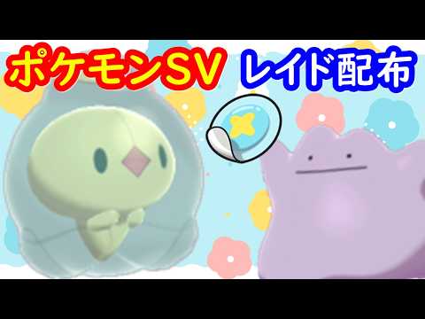 🔴【ポケモンSV】色違いダブランレイド＋とくせいパッチメタモンレイド＋視聴者同士の交流所（攻略情報・レイド募集・ポケモン交換・ポケモン対戦・攻略情報など）2026年7月29日 朝～