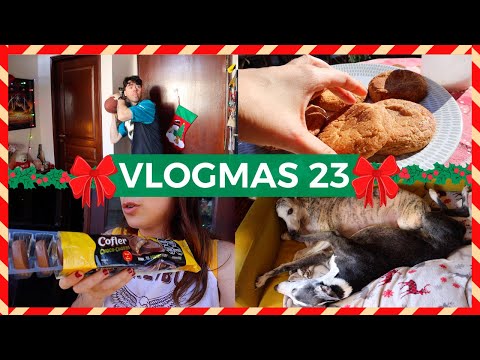 🎄 VLOGMAS 23 🎄 Hago GALLETITAS y probamos las COFLER de BON O BON