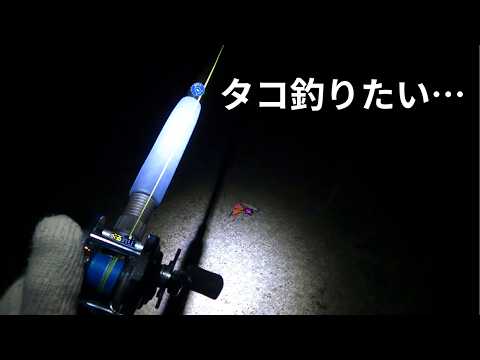 冬の早朝に堤防タコ釣り行ってみました