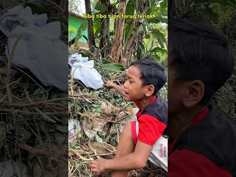 Cari cacing nemu kain putih #davidsunairi #anakdesa #minivlog