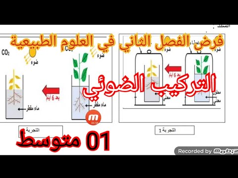 فرض الفصل الثاني في العلوم الطبيعية السنة الأولى متوسط 2025