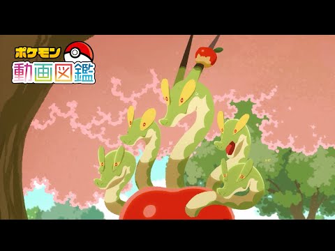 【公式】「ポケモン動画図鑑」No.1019 カミツオロチ