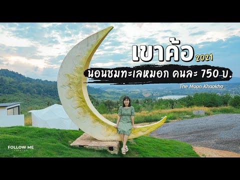 เที่ยวเขาค้อ เพชรบูรณ์ ทุ่งเก๊กฮวย คาเฟ่ญี่ปุ่น ที่พักจุดชมวิวทะเลหมอก The Moon | FOLLOW ME Creator