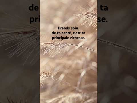 Santé #citation #proverbes #santé #richesse #prendresoindesoi #youtubeshorts #youtube #ytshorts #yt
