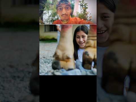 Girl Made Fun Of Boy Goat's Prosthetic 🥺 | RESPECT |