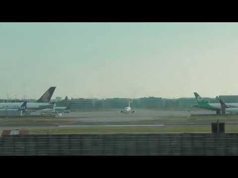 London Heathrow Airport Ground Movements, Friday 3rd June 2022 (part 1)