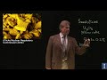 Uranium Properties and Applications