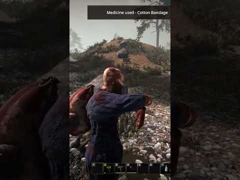 First Blood! Taking Down a Bandit for Survival! #nestedlands #survivalgame #gamingshorts