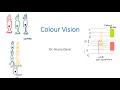 Color Vision Theories and Functions