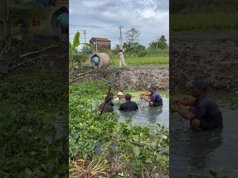 BIKIN JEMBATAN RAKA #minivlog #hiburanshorts #anakdesa #vlog