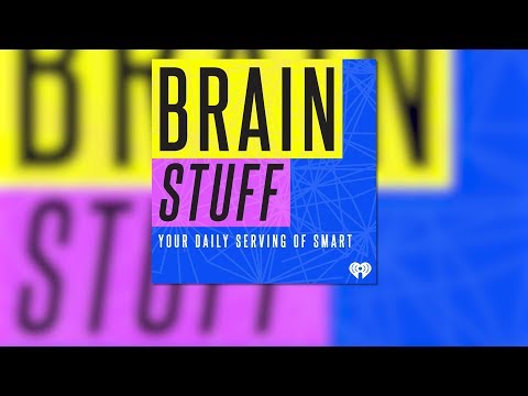 Can 'Hypoallergenic' Dogs Still Trigger Allergies? - BrainStuff
11/15/2019