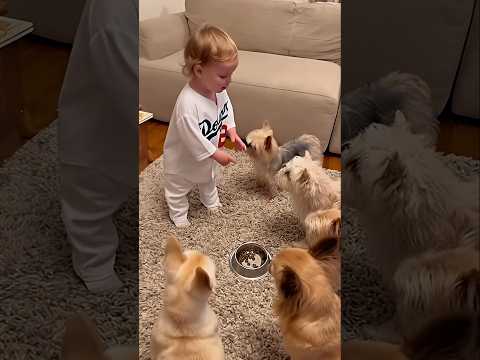 Baby &amp; Puppies <strong>Learn</strong> Table Manners 🍽️🐶👶    #baby #puppies #cute #funny #viral #<strong>dog</strong> #tablemanners