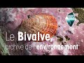 Bivalves and Environmental Research