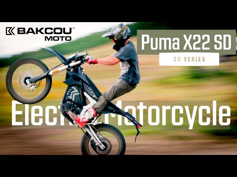 This Electric Motorcycle Is Faster Than You Think!