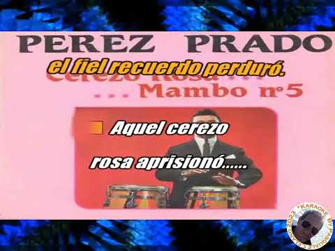 Perez Prado   Cerezo Rosa KARAOKE FAIR USE