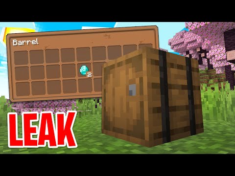 LEAKATO un INVENTORY UPDATE per MINECRAFT?!