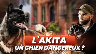 Akita : "Ce n’est pas un chien c’est un monstre ?"