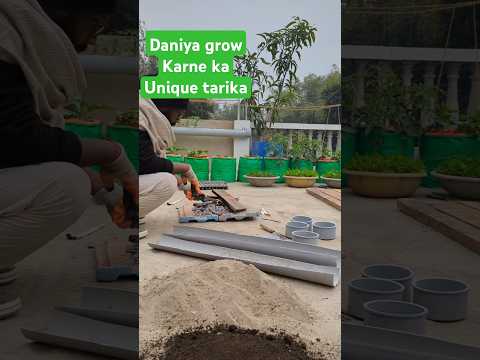 Part 1:Pipe Me dhaniya| Unique way to terrace gardening #garden #gardenplants #gardenplants