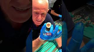 You NEED To Visit Our Viral Candy Shop |Sydney Sticky Lollies!|