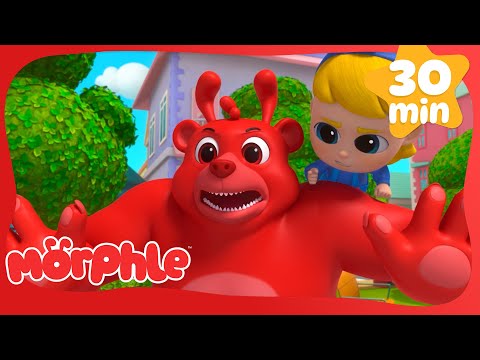 Morphing Bear Adventure! | Morphle Magic Cartoons for Kids