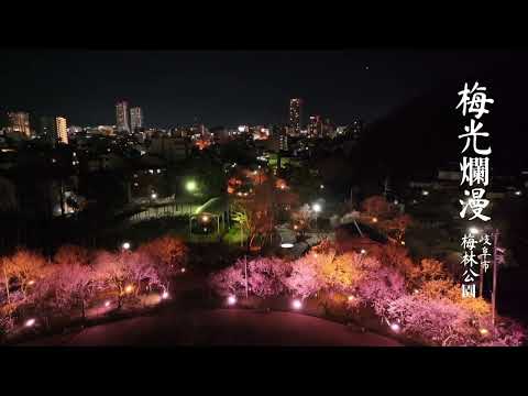 梅林公園「梅・ライトアップ編」